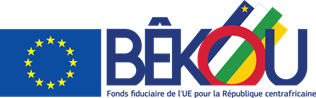 Bêkou Trust Fund - The European Trust Fund for the Central African Republic