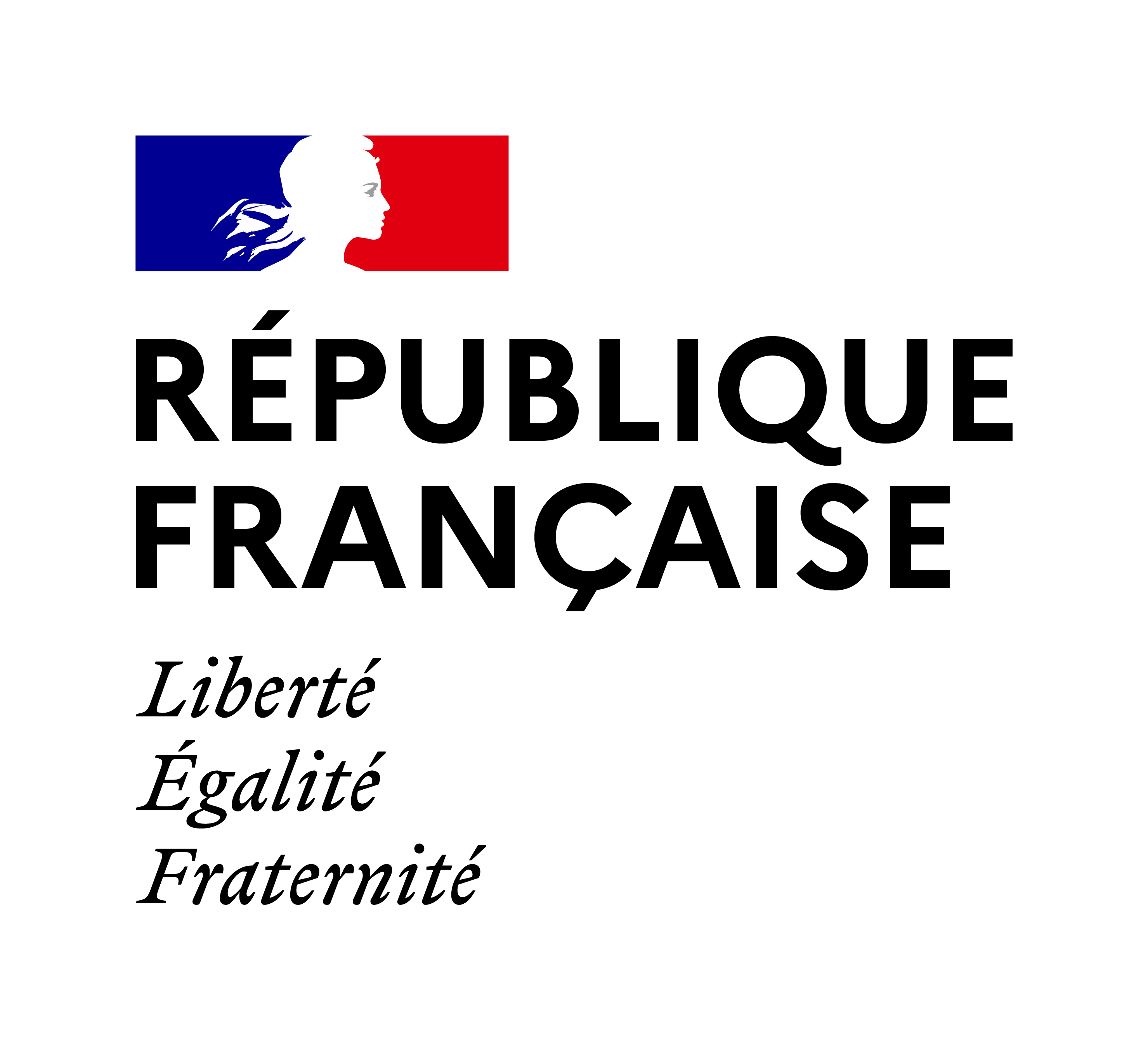 French Ministry for Europe and Foreign Affairs (MEAE)
