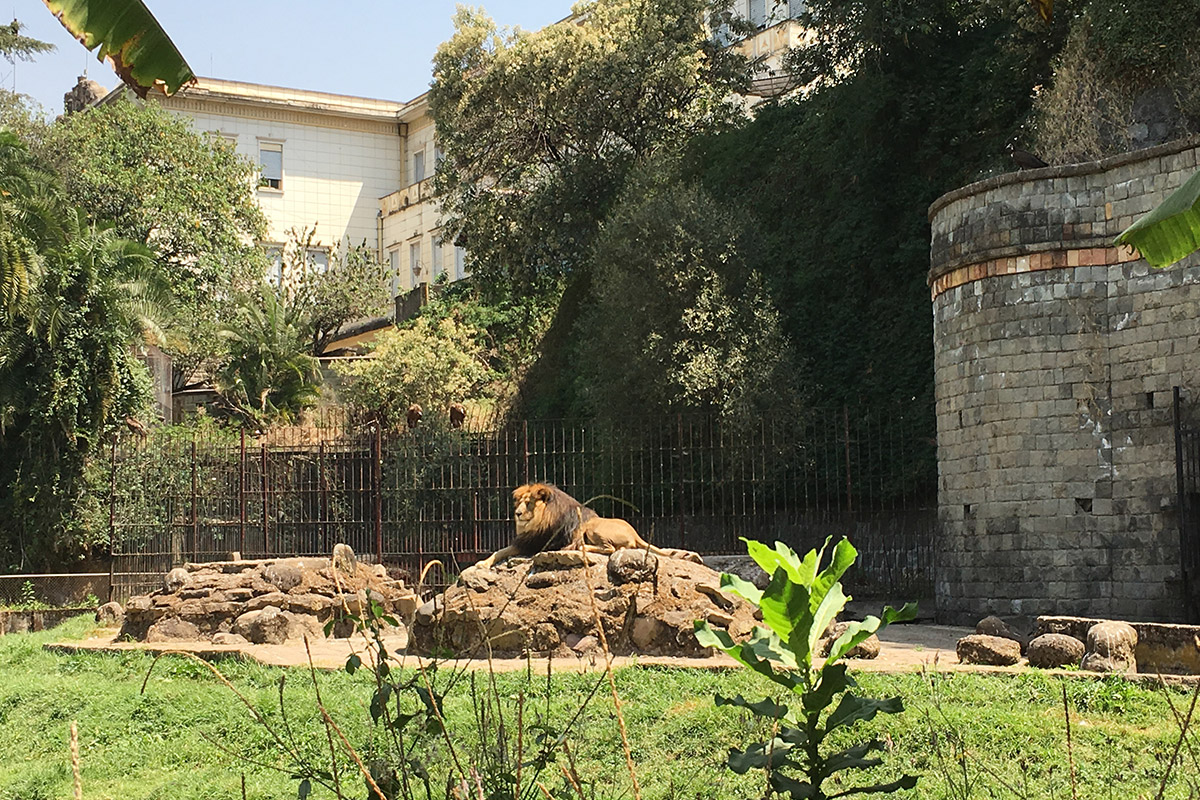 National Palace of Addis Ababa (c) Clara DELMON - Expertise France