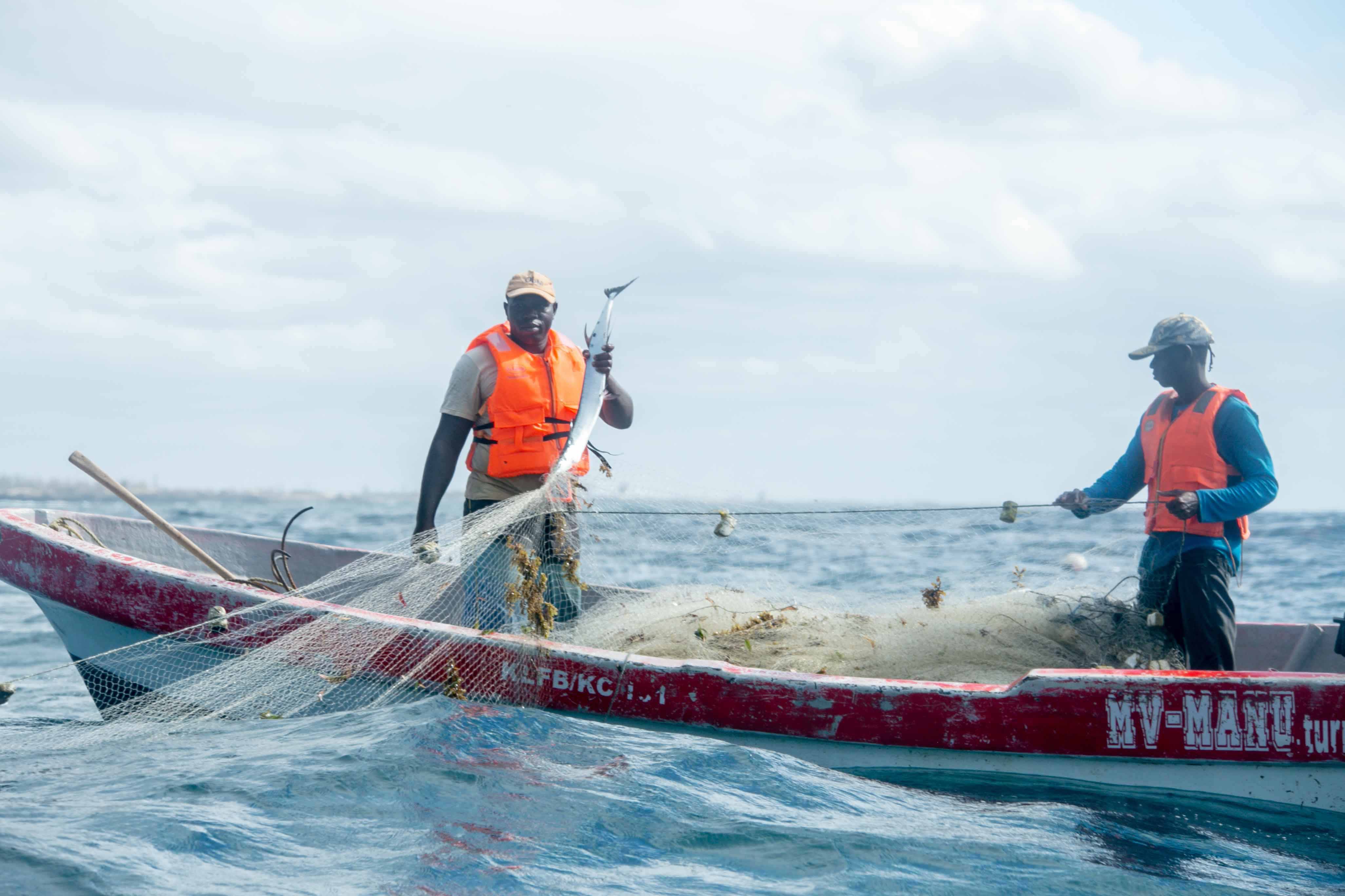 The Port de Pêche (fishing port), high level of expertise