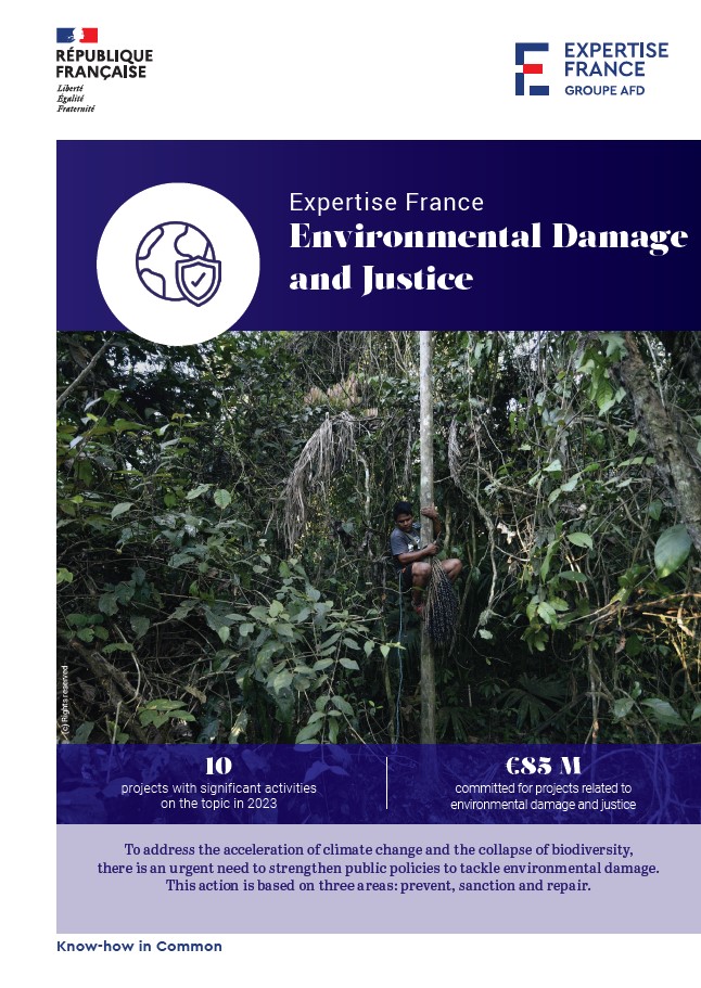 Cover of the Environmental Damage and Justice Leaflet