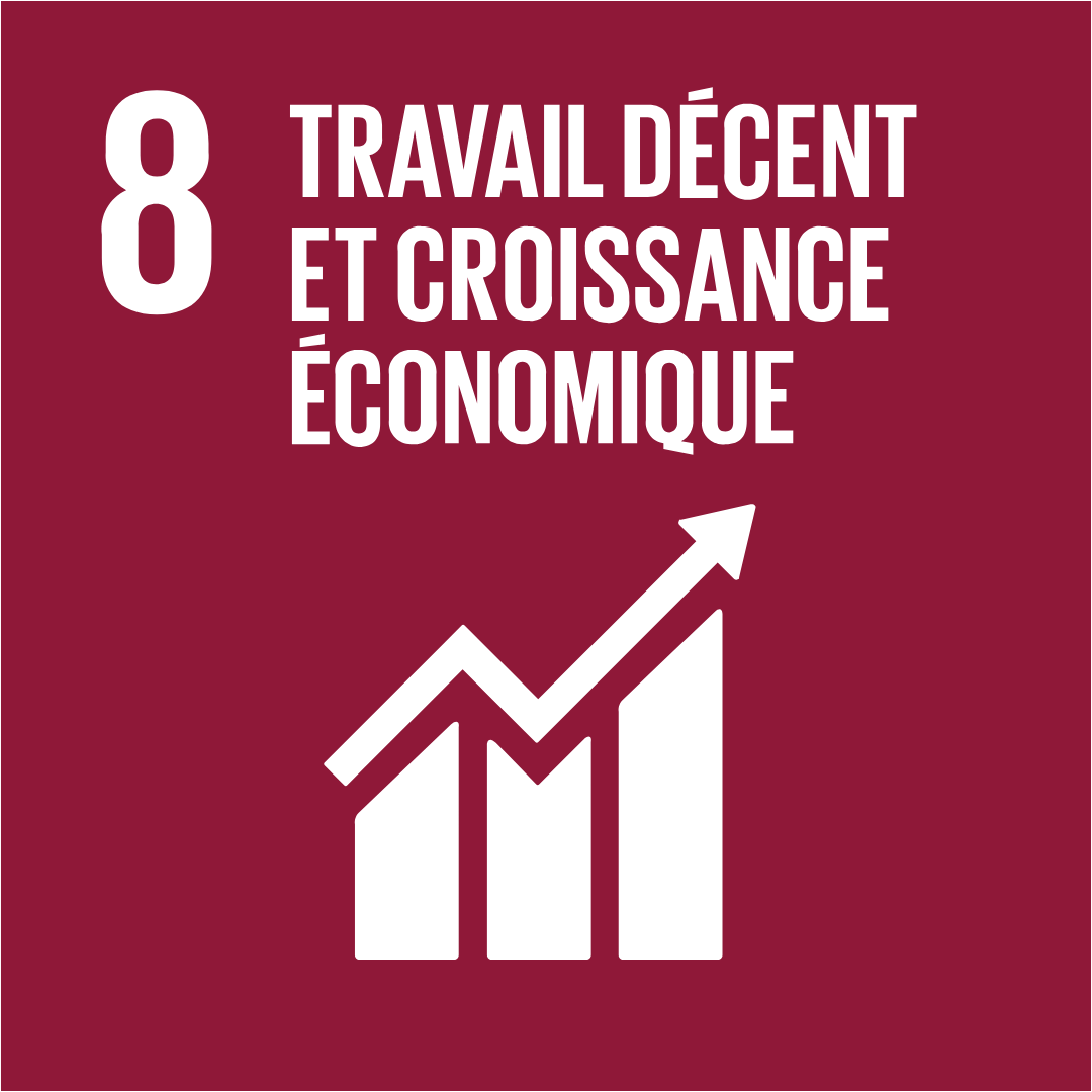 ODD8-Travail décent et croissance économique 
