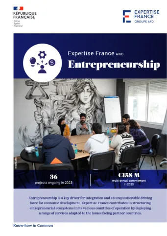 Cover Expertise France and Entrepreneurship