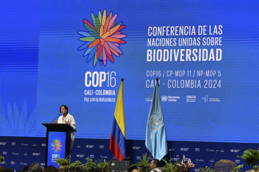 Sommet COP16 Cali